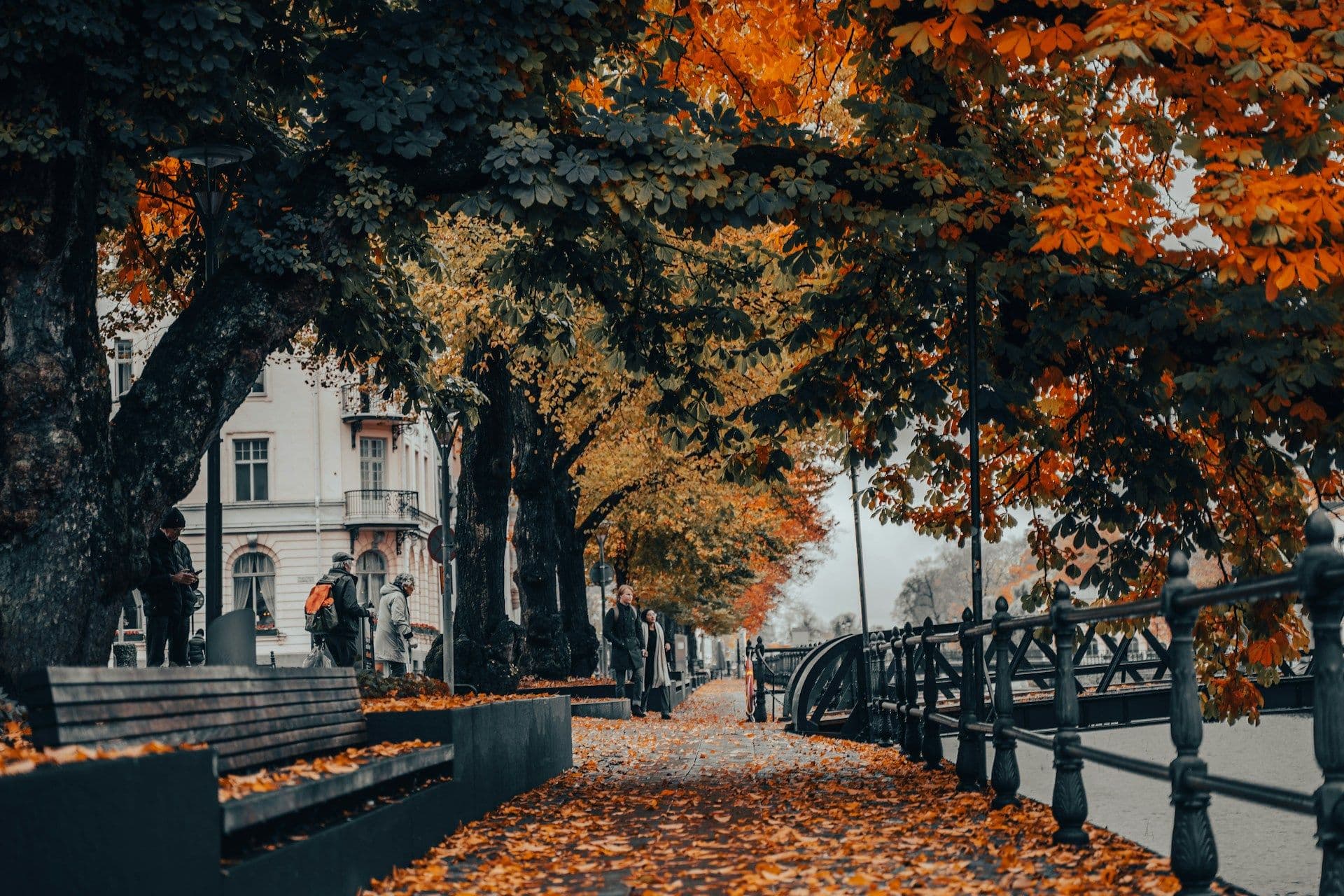 Centrala Uppsala med vatten, träd och stadsmiljö – populärt för konferens och möten